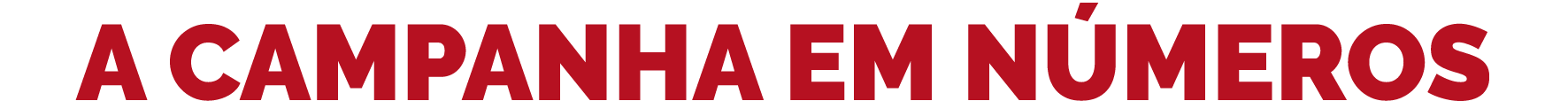 A CAMPANHA EM N MEROS